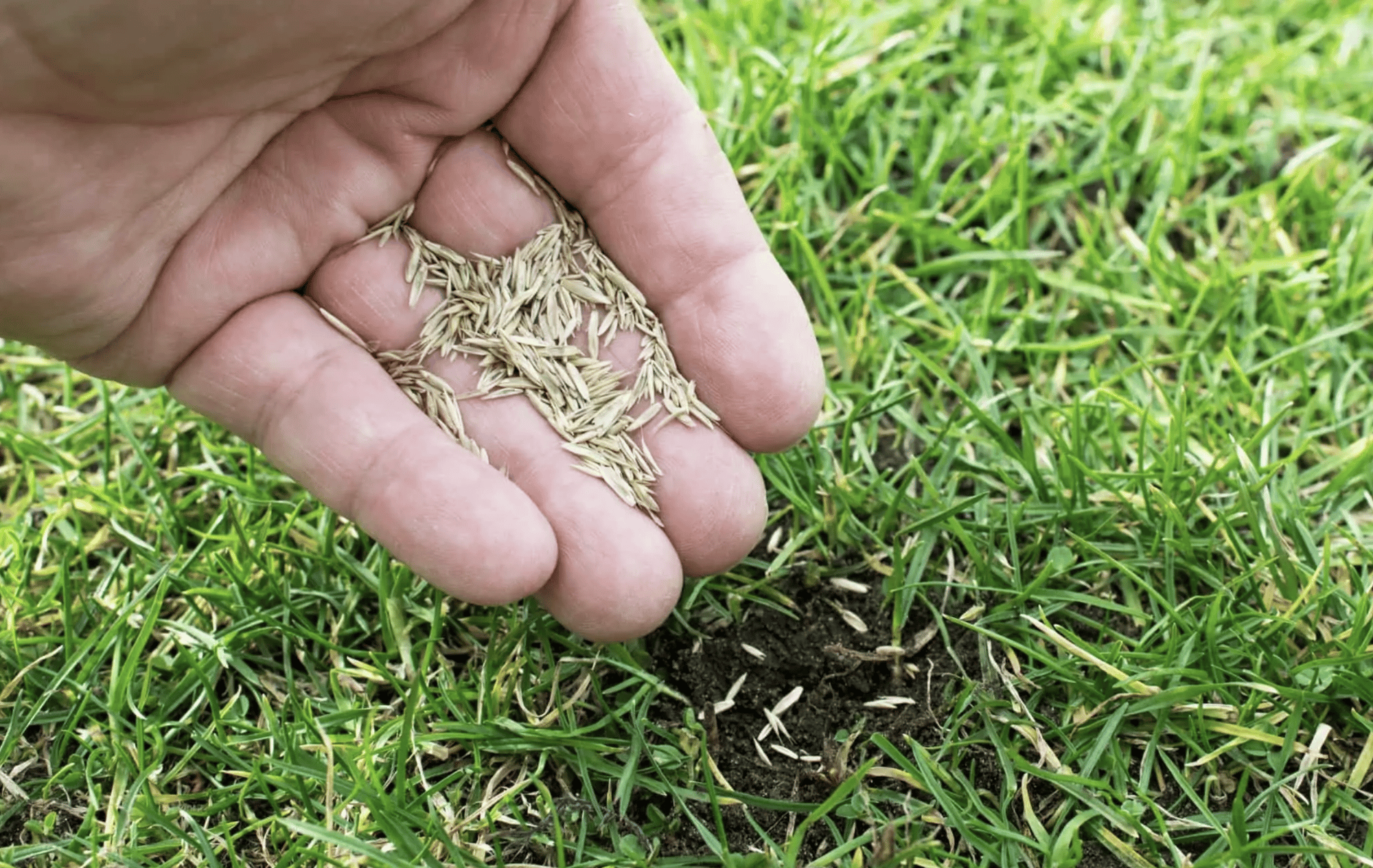 Screenshot 2024-08-11 at 6.19.50 PM